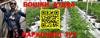 таблы Кингисепп