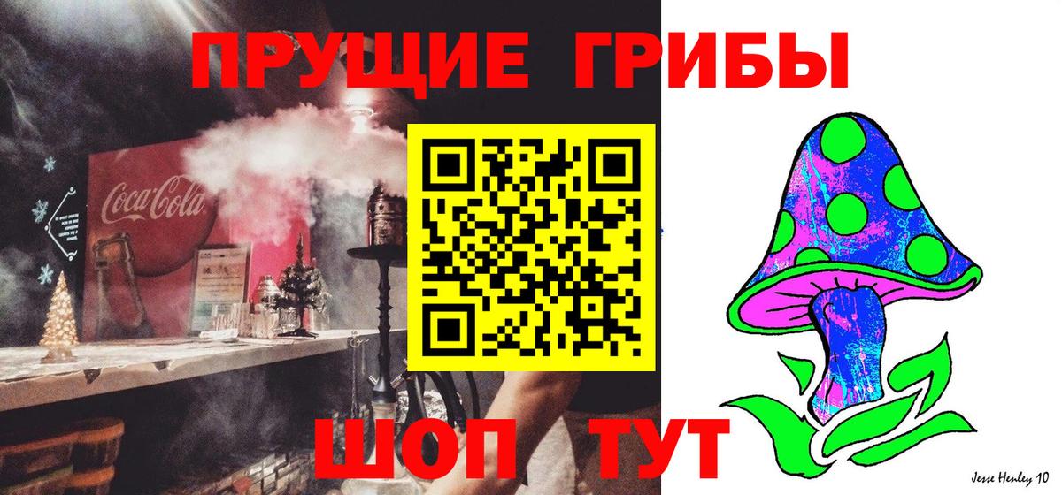 Псилоцибиновые грибы MAGIC MUSHROOMS Красногорск